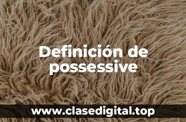 Definición de possessive