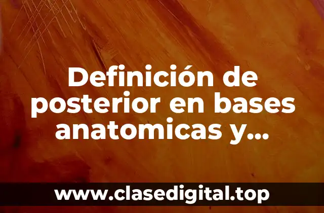 Definición de posterior en bases anatomicas y fisiologicas
