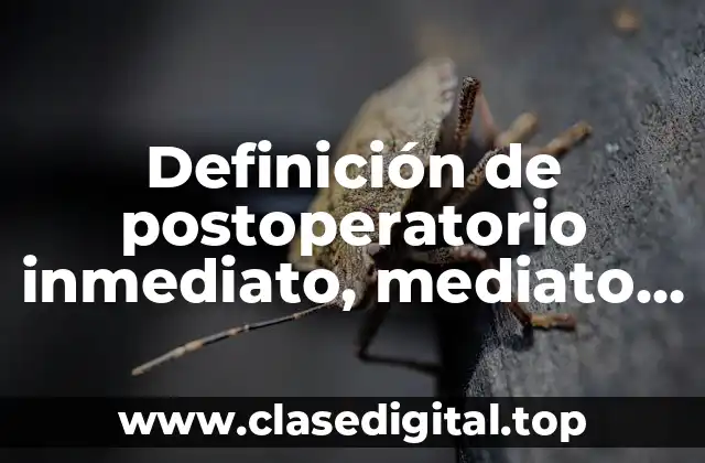 Definición de postoperatorio inmediato, mediato y tardío