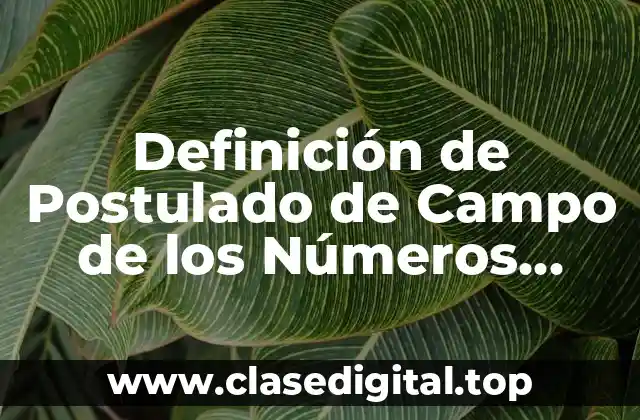 Definición de Postulado de Campo de los Números Reales