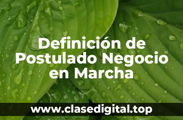 Definición de Postulado Negocio en Marcha