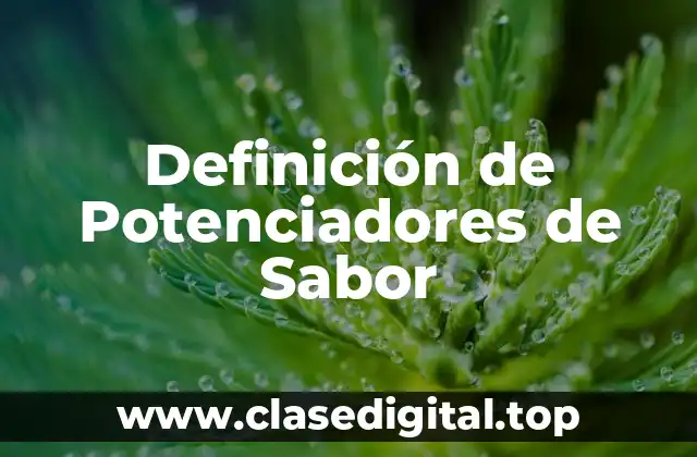Definición de Potenciadores de Sabor