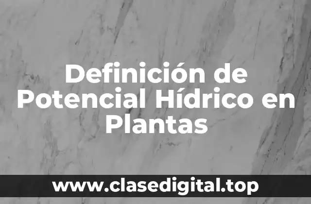 Ejemplos de Potencial Hídrico en Plantas