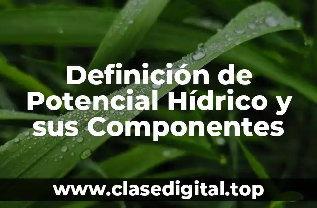 Definición de Potencial Hídrico y sus Componentes