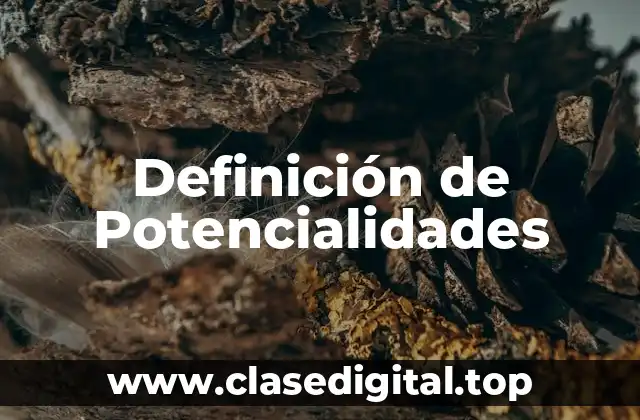 Definición de Potencialidades