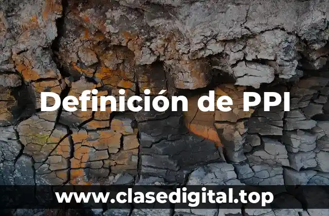 Definición de PPI