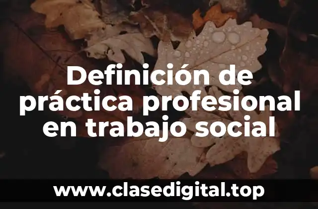 Definición de práctica profesional en trabajo social