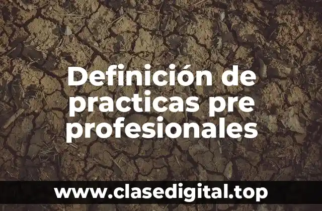 Definición de practicas pre profesionales