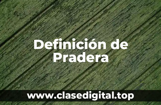 Definición de Pradera