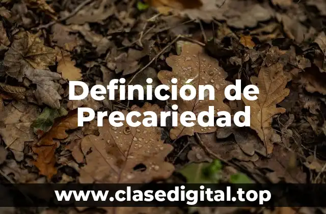 Definición de Precariedad