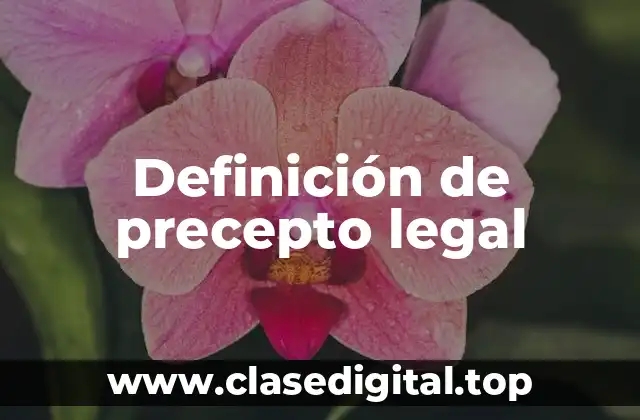 Definición de precepto legal