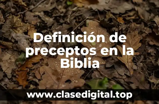 Definición de preceptos en la Biblia