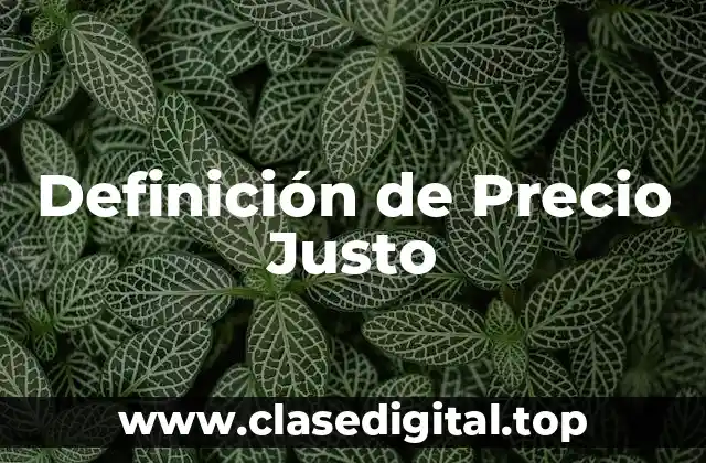 Definición de Precio Justo