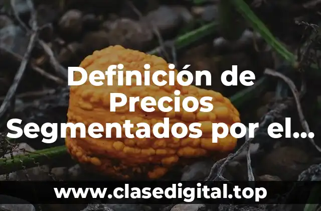 Definición de Precios Segmentados por el Lugar