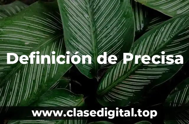 Definición técnica de Precisa