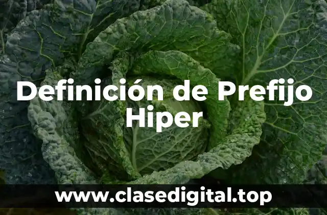 Definición de Prefijo Hiper