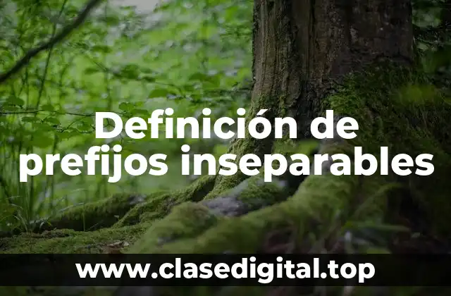 Definición de prefijos inseparables