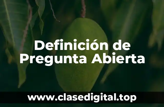 Definición de Pregunta Abierta
