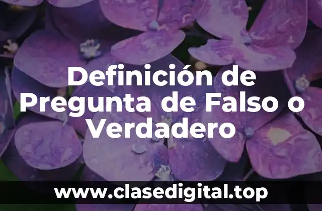 Definición de Pregunta de Falso o Verdadero