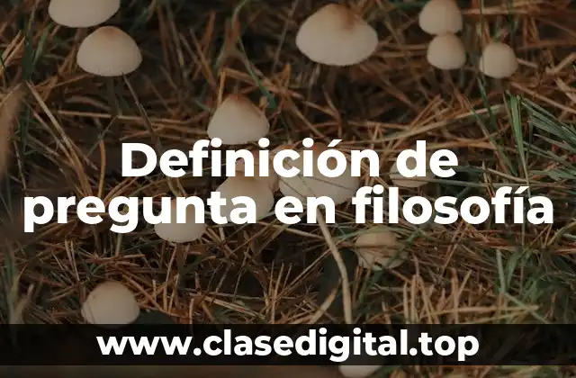 Definición de pregunta en filosofía