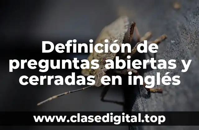 Ejemplos de preguntas abiertas y cerradas en inglés