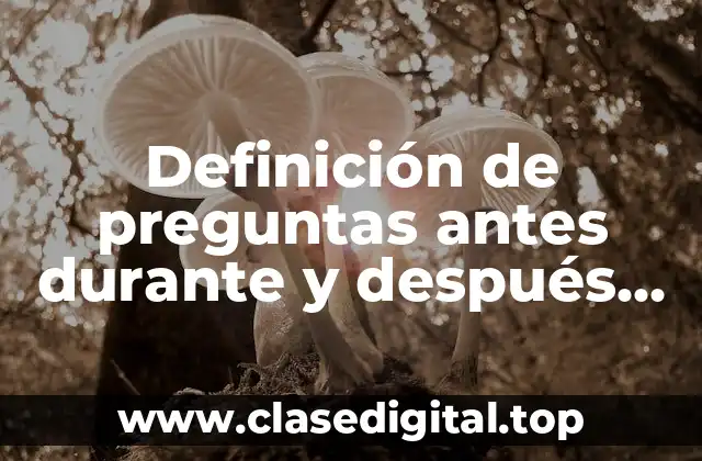 Ejemplos de preguntas antes durante y después de la lectura