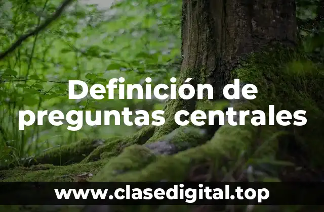 Definición de preguntas centrales