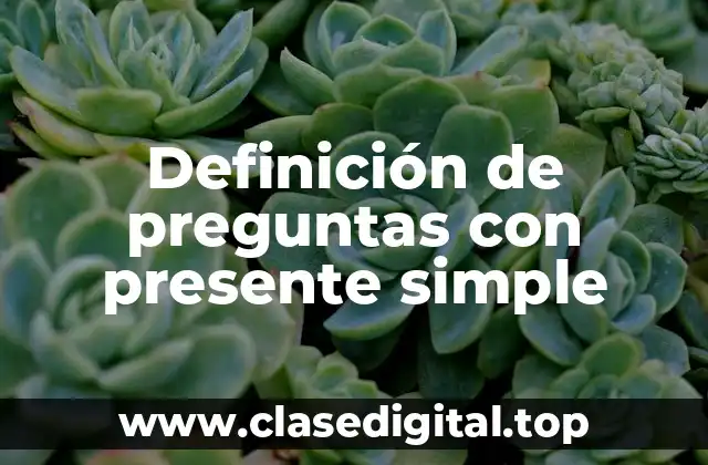 Definición de preguntas con presente simple