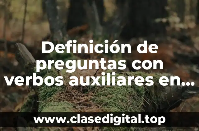 Definición de preguntas con verbos auxiliares en inglés