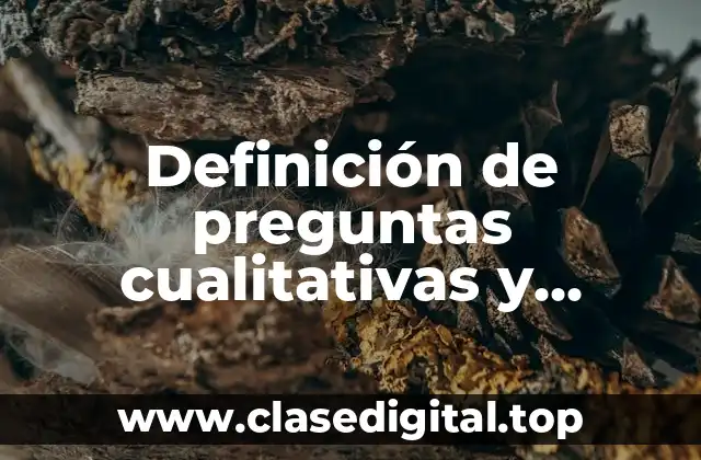 Ejemplos de preguntas cualitativas