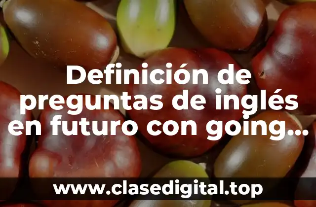 Definición de preguntas de inglés en futuro con going to