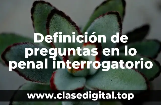 Definición de preguntas en lo penal interrogatorio
