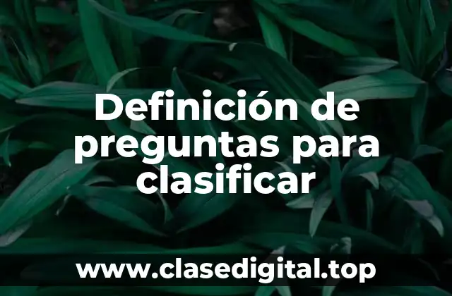Definición de preguntas para clasificar