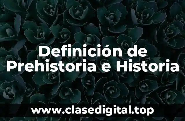 Definición de Prehistoria e Historia