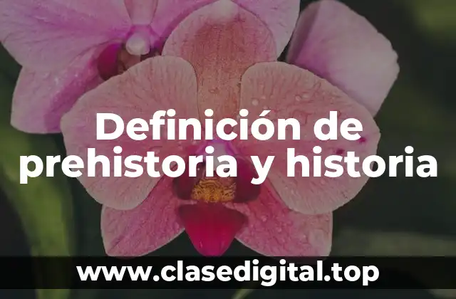 Definición de prehistoria y historia
