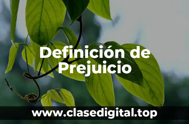 Definición técnica de prejuicio