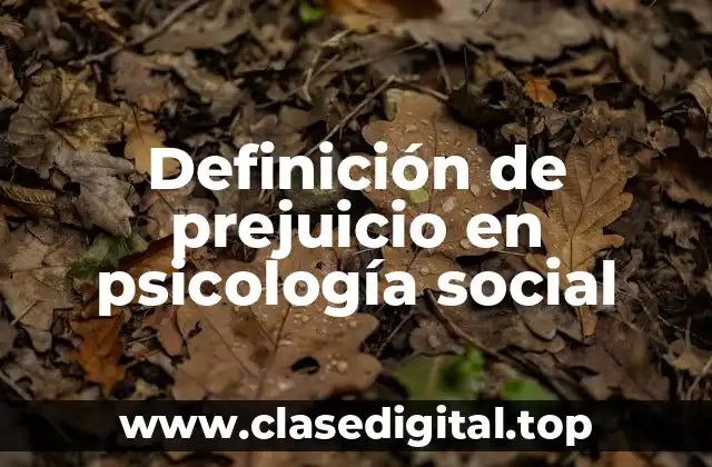 Definición de prejuicio en psicología social