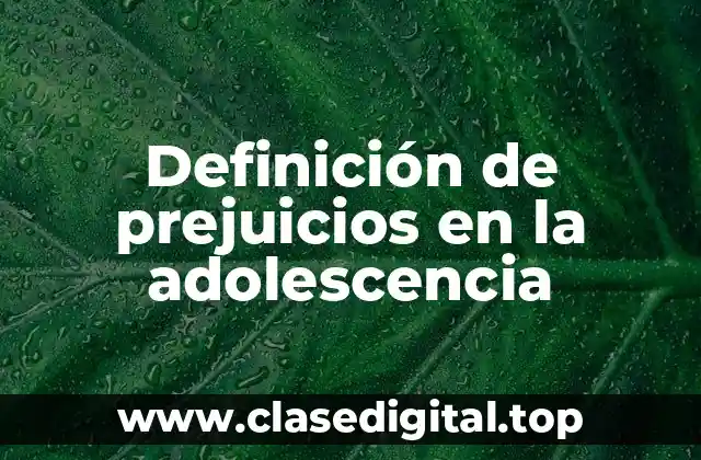 Definición de prejuicios en la adolescencia