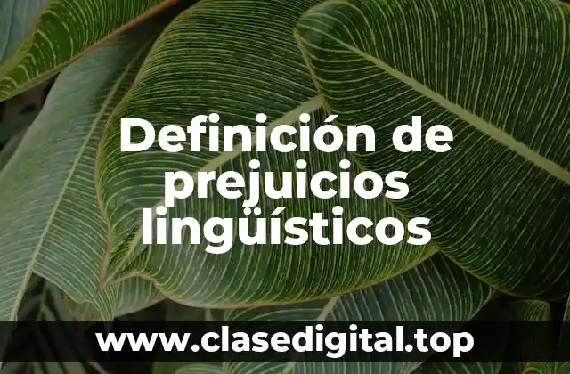 Definición de prejuicios lingüísticos