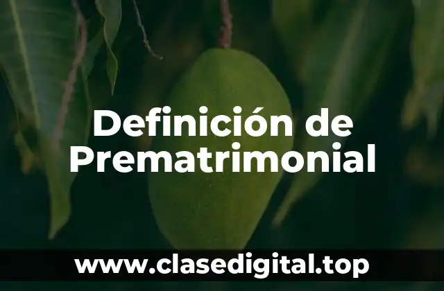 Definición de Prematrimonial