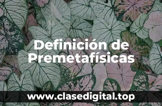 Definición de Premetafísicas