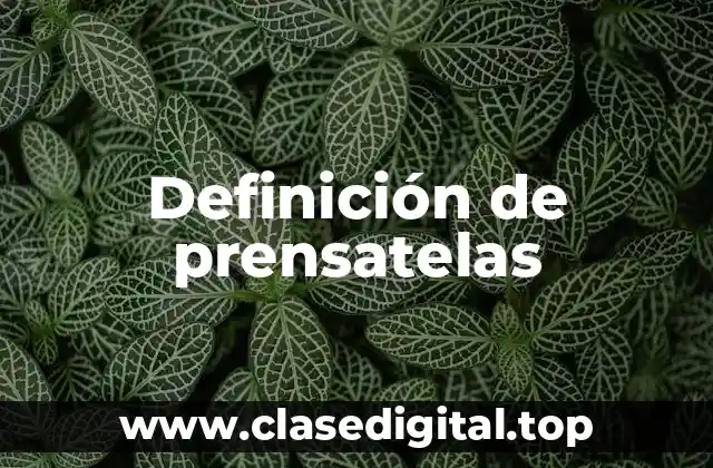 Definición de prensatelas