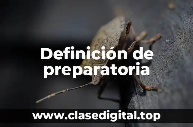 Ejemplos de preparatoria