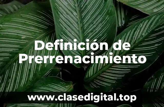 Definición de Prerrenacimiento