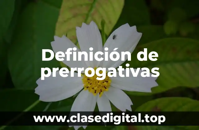 Ejemplos de prerrogativas