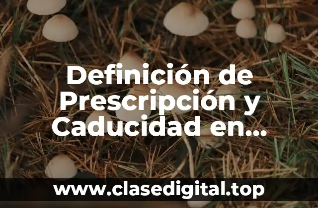 Definición de Prescripción y Caducidad en Derecho