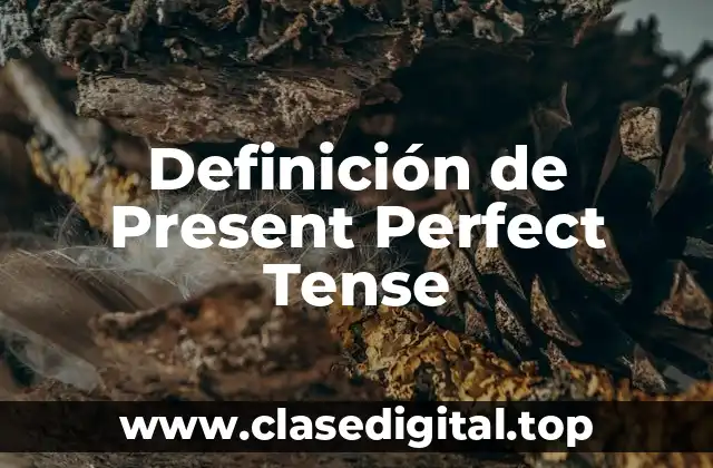 Definición de Present Perfect Tense
