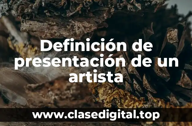 Definición de presentación de un artista