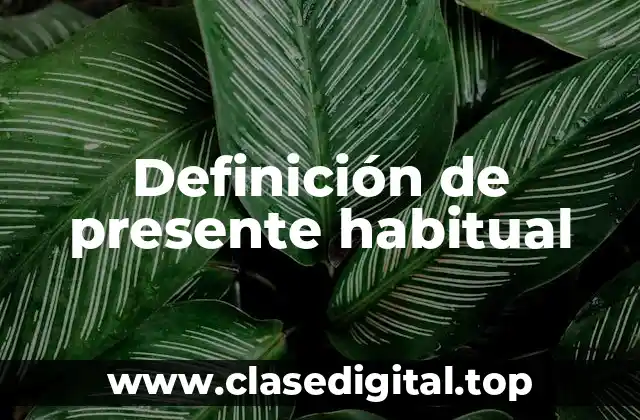 Definición de presente habitual