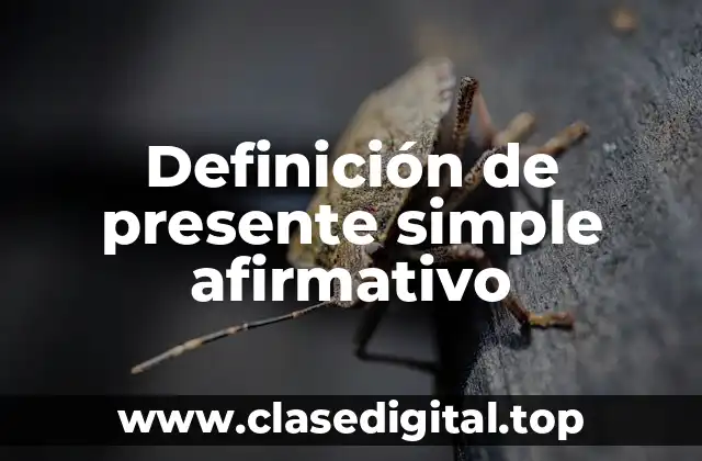 Definición de presente simple afirmativo